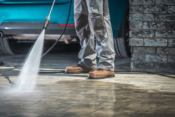 Best Pre-Holiday Cleaning  in Yuma, CO